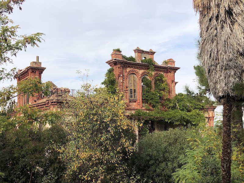 Büyükada Keşif Rehberi: İstanbul'un Saklı Cenneti