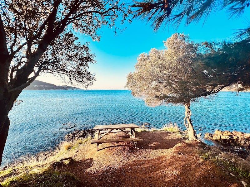 Dilburnu Mesire Alanı